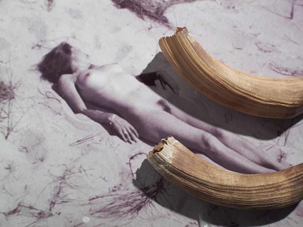 Collection Préhistorique (Femme au bain de soleil et dents d'hippopotame) - © kamel mennour