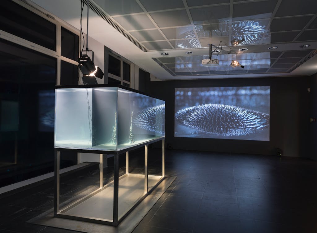 Exhibition view, Frankfurter Kunstverein, Frankfurt - © kamel mennour
