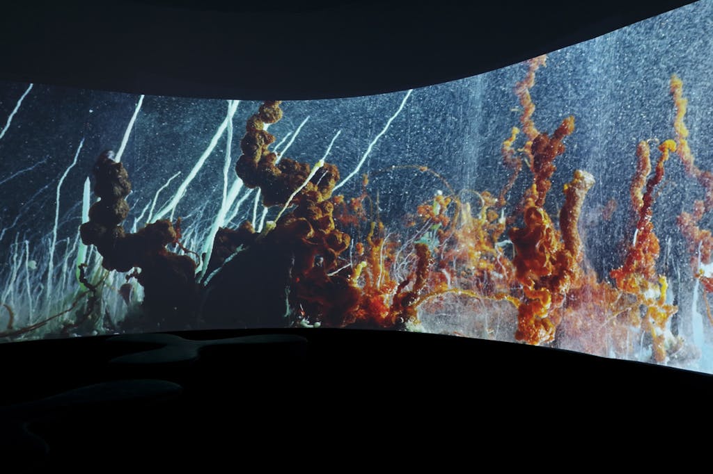 Exhibition view, Louvre Lens - © kamel mennour