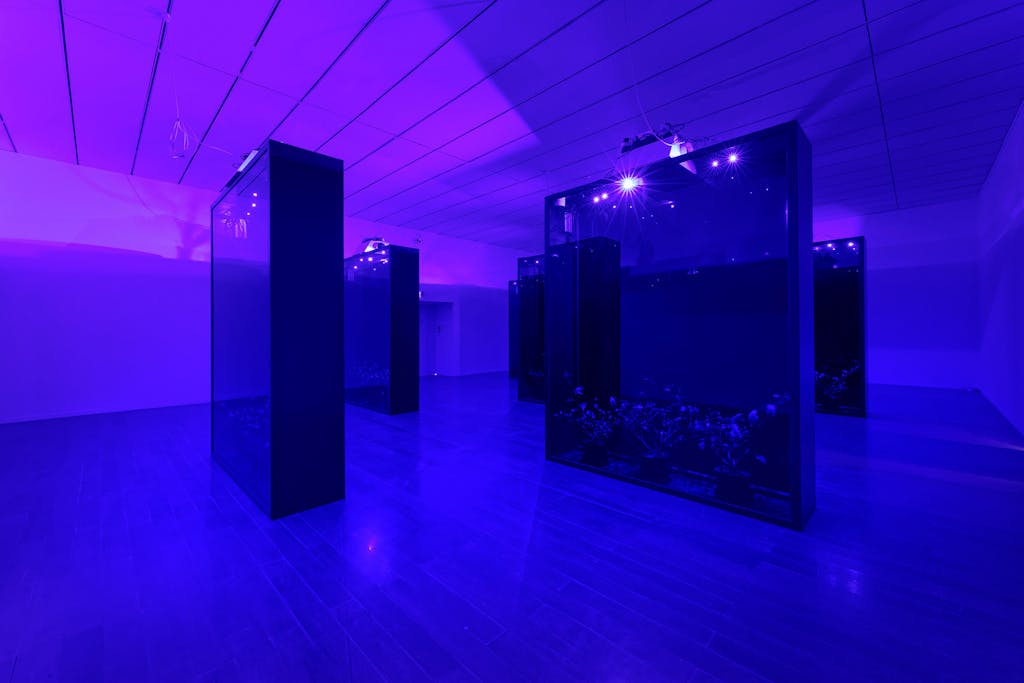 Exhibition view, MAC Lyon - © Mennour