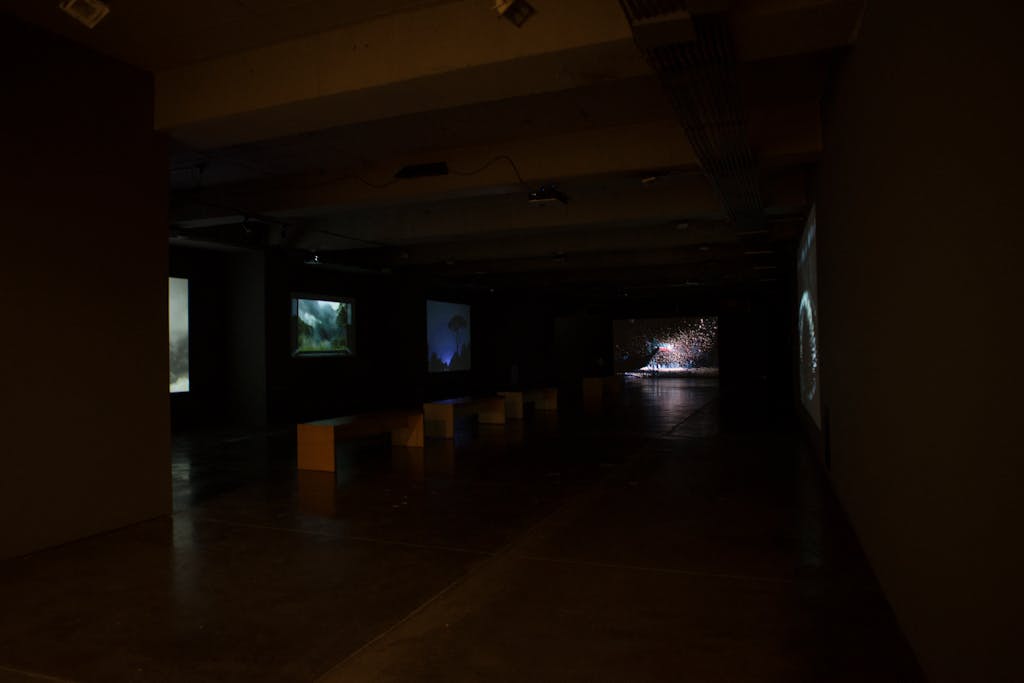 Exhibition view, MAMU, Bogota - © kamel mennour