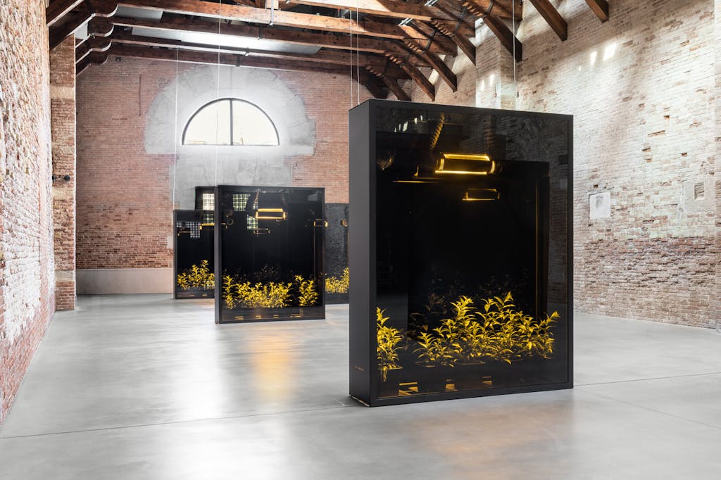 Exhibition view, Pinault Collection, Punta Della Dogana, Venice - © kamel mennour