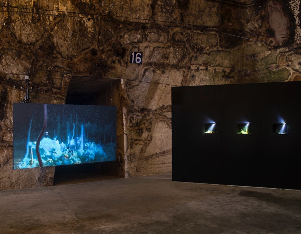 Exhibition view, Pommery, Reims - © kamel mennour
