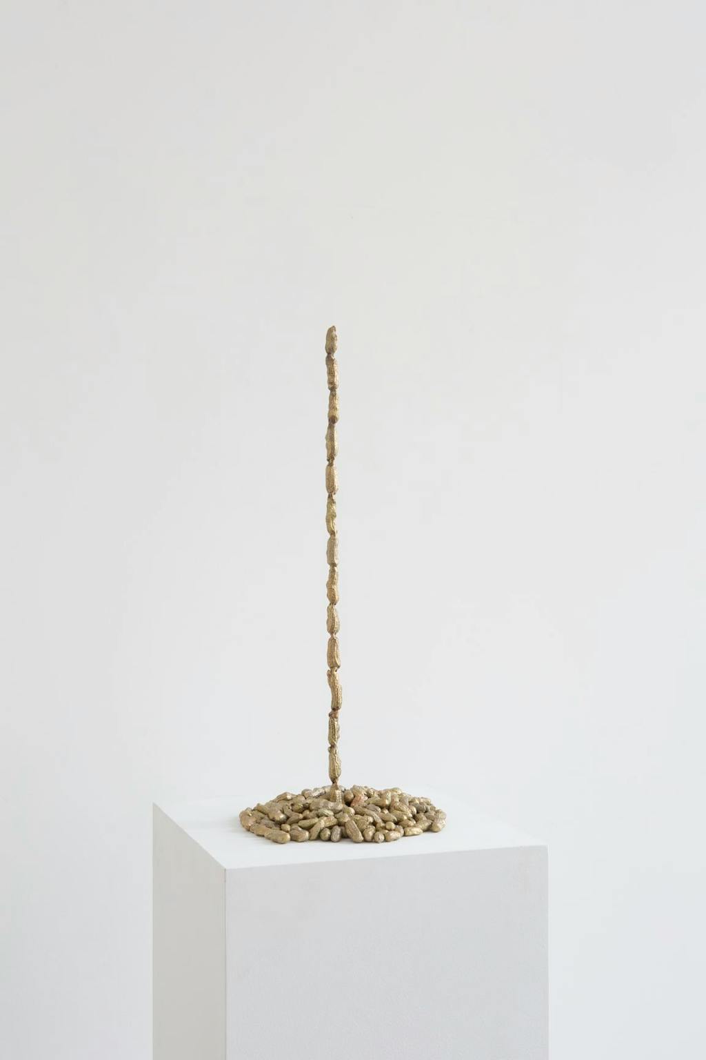 Peanuts - © kamel mennour