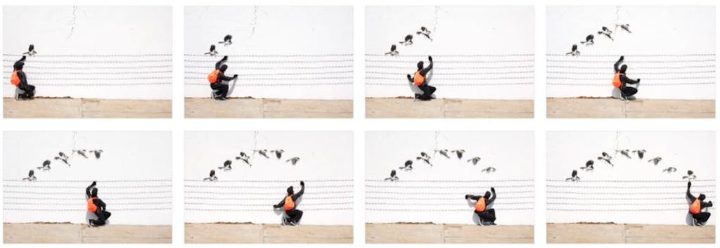 Bird on Wires - © kamel mennour