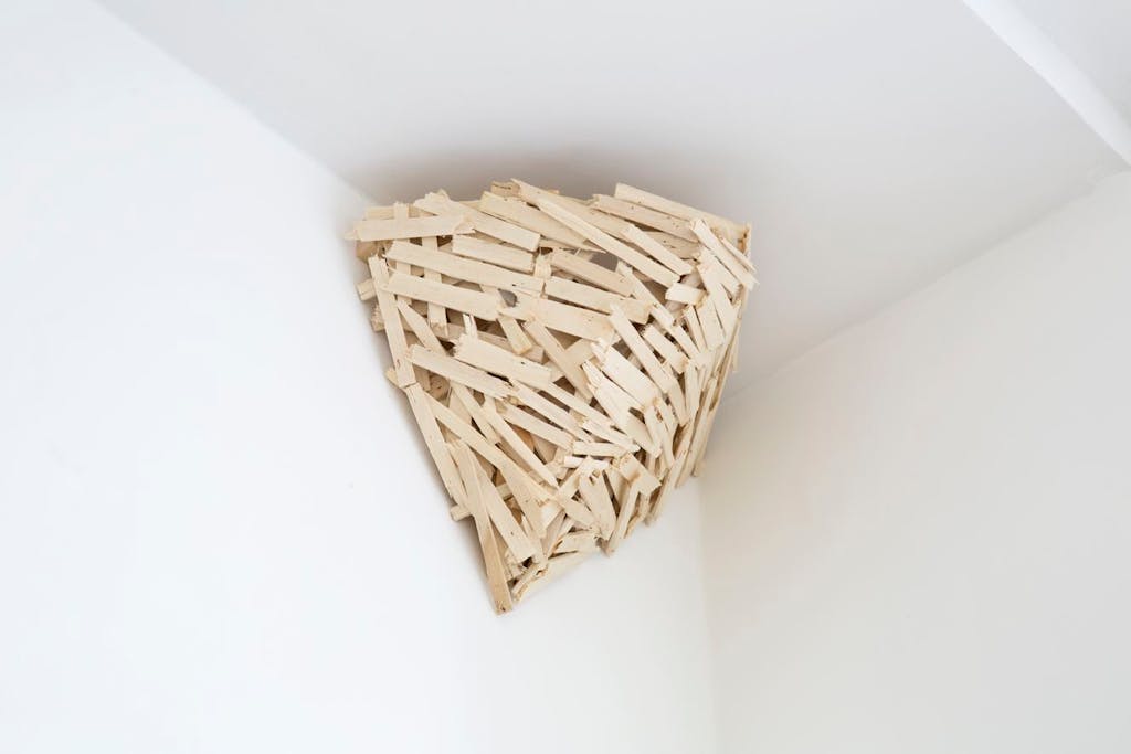 Nest n°8 - © kamel mennour
