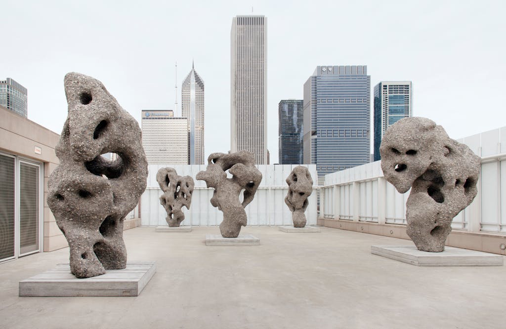 Exhibition view, Art Institute of Chicago - © kamel mennour