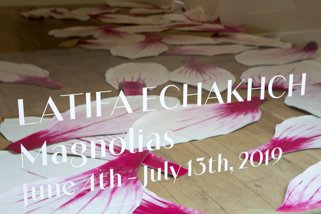 Latifa Echakhch, Magnolias - © Mennour