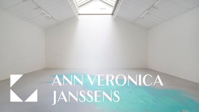 ANN VERONICA JANSSENS - © kamel mennour