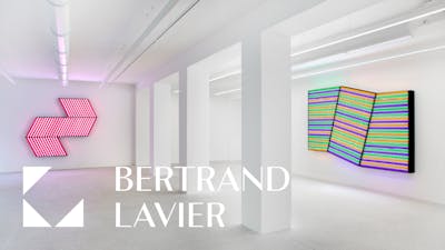 BERTRAND LAVIER &mdash; Nouveaux tableaux 2005 - © Mennour