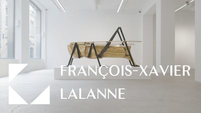 FRAN&Ccedil;OIS-XAVIER LALANNE &mdash; Sauterelle Bar - © Mennour