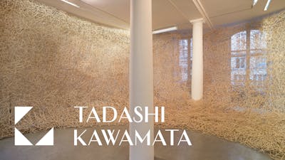 TADASHI KAWAMATA &mdash; Nest - © kamel mennour