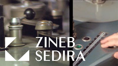 ZINEB SEDIRA &mdash; No Matter What - © Mennour
