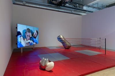 Camille Henrot - Copenhagen Contemporary - © kamel mennour