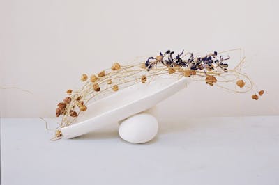 Camille Henrot - Nest - © kamel mennour
