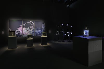 Hicham Berrada
Exhibition view "La Fabrique du vivant". Centre Pompidou, Galerie  4. - © Cr&eacute;dit photo : Centre Pompidou/Philippe Migeat
Courtesy the artist and kamel mennour, Paris/London, kamel mennour