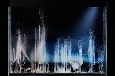 Hicham Berrada
View of the exhibition “Climats artificiels”, Espace Fondation EDF, Paris, 2015 - © © Hicham Berrada
Photo. Laurent Lecat
Courtesy the artist and kamel mennour, Paris/London, kamel mennour