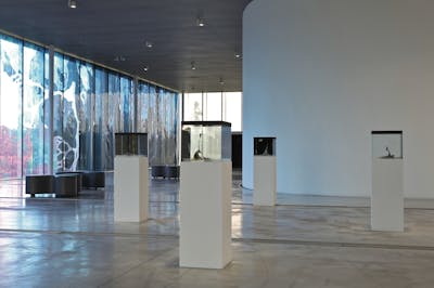 Hicham Berrada - Neurones - Centre Pompidou - © kamel mennour