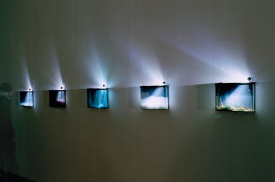 Hicham Berrada
Tranche, présage, 2013
Chemical landscape in slow evolution in a glass tank
28 x 37 x 5 cm
View of the exhibition “Saison 1 - 2013. Soleil froid. Modules - Fondation Pierre Bergé - Yves Saint Laurent”, Palais de Tokyo, Paris, 2013 - © © ADAGP Hicham Berrada
© Photo. Hicham Berrada
Courtesy the artist and kamel mennour, Paris/London, kamel mennour