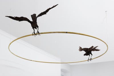Petrit Halilaj - ENSBA - © Mennour