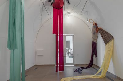Hammer Projects: Petrit Halilaj, installation view, Hammer Museum, Los Angeles, September 15, 2018-January 20, 2019. Photo: Brian Forrest. - © Mennour