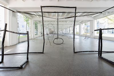 Petrit Halilaj - Kölnischer Kunstverein - © Mennour