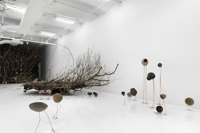 Petrit Halilaj - New Museum - © Mennour