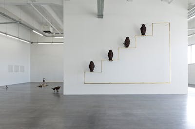 Petrit Halilaj
Poisoned by men in need of some love
Installation view at Wiels –Contemporary Art Centre, Brussels, 2013
© Petrit Halilaj
Photo: Kristien Daem
Courtesy the Artist, ChertLüdde, Berlin and kamel mennour, Paris/London - © Mennour