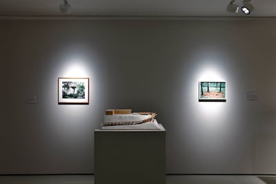 Tadashi Kawamata - Kulturstiftung Basel - © Mennour
